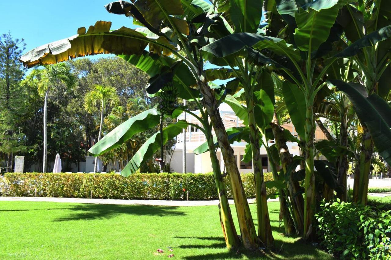 Tropical Casa Laguna Cabarete Bagian luar foto